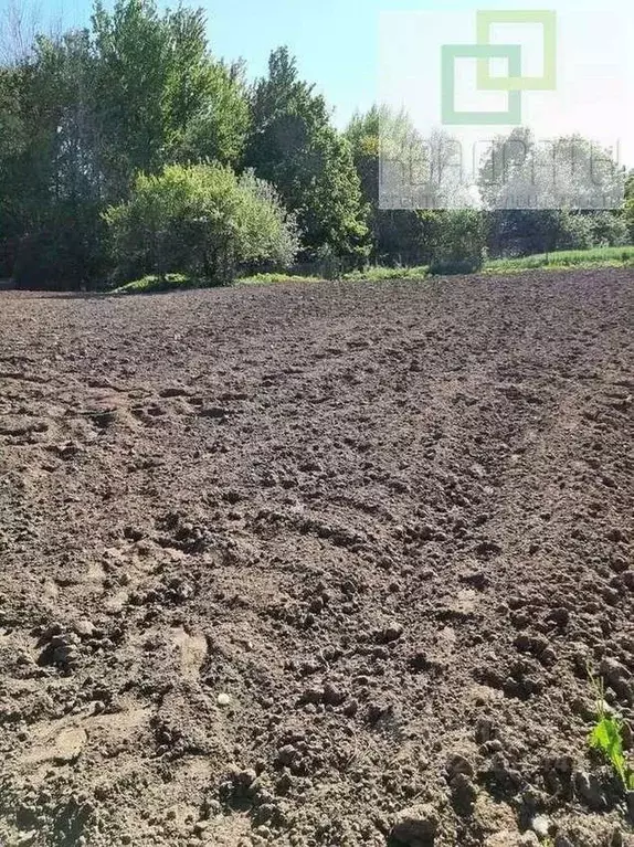 Участок в Ленинградская область, Лужский район, д. Ретюнь  (7.0 сот.) - Фото 2