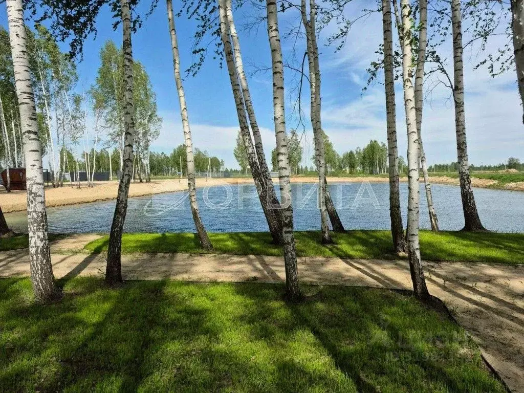 Участок в Тюменская область, Нижнетавдинский район, Березка СНТ  (7.0 ... - Фото 0