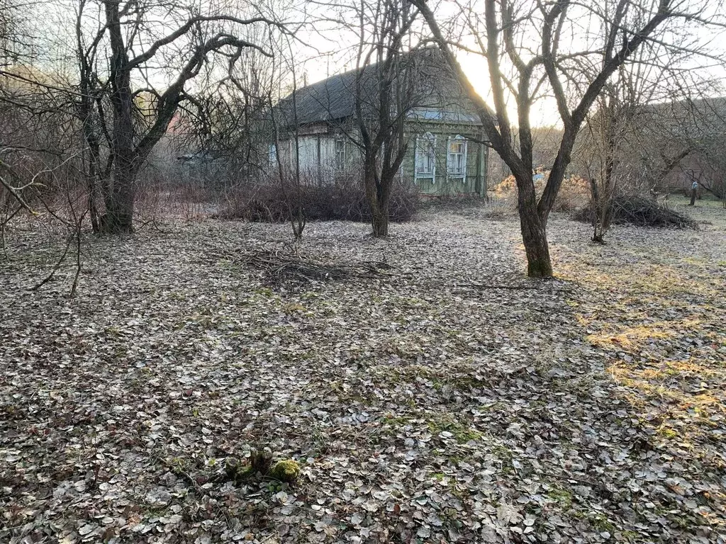Участок в Московская область, Химки городской округ, д. Рузино, ... - Фото 2