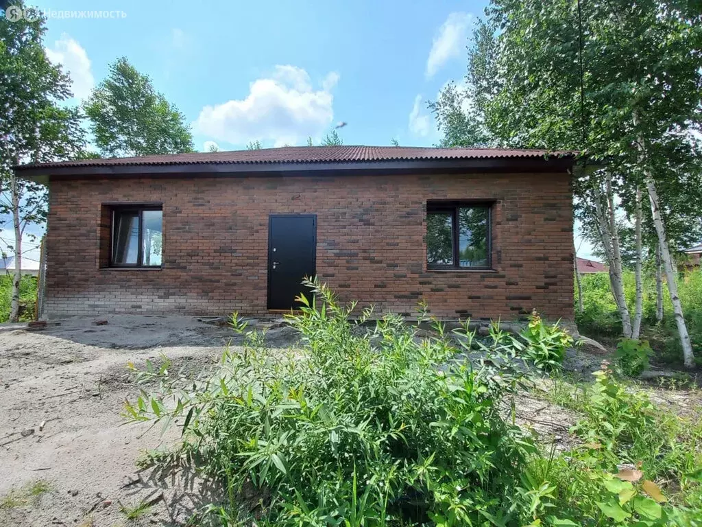 Дом в Благовещенск, СНТ Эфир (87.3 м) - Фото 1
