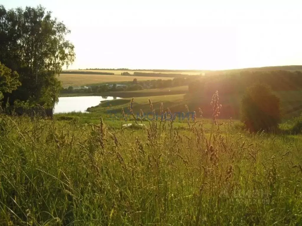 Участок в Нижегородская область, Богородский муниципальный округ, д. ... - Фото 2