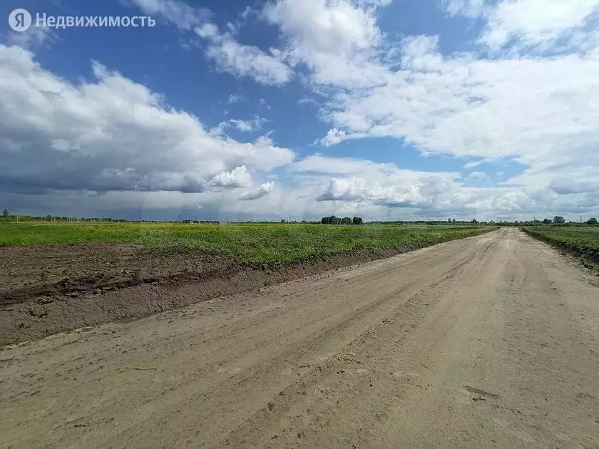 Участок в Тюменский район, деревня Падерина (8 м) - Фото 1