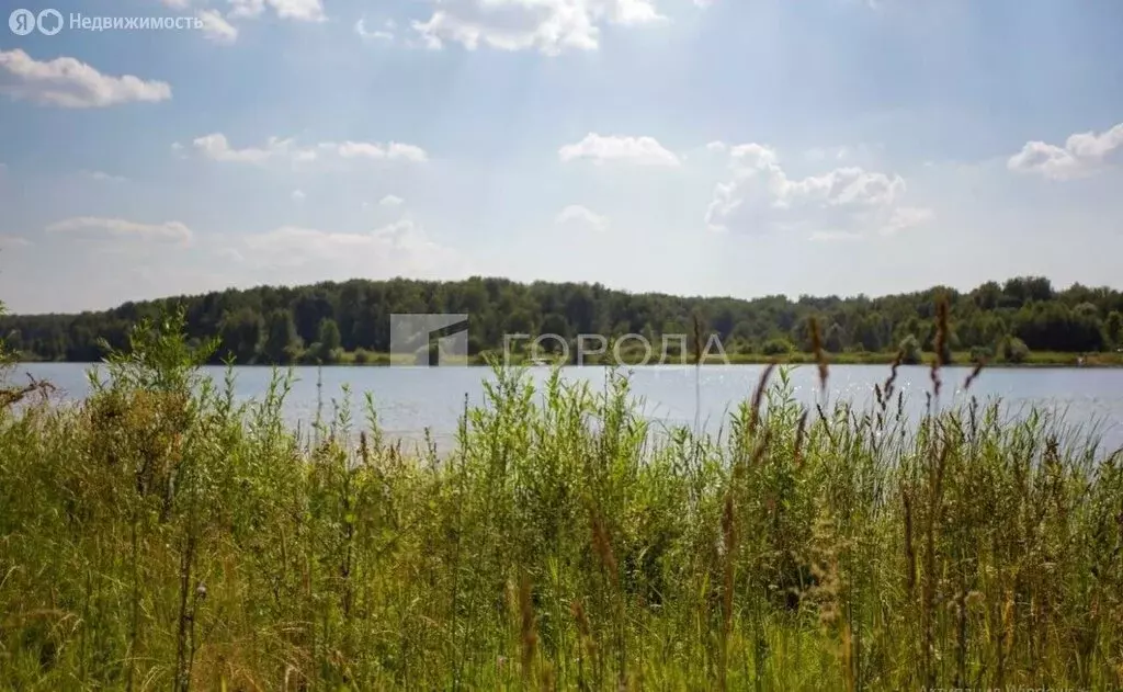 Участок в Новосибирский район, Берёзовский сельсовет, ТСН Тандем, ... - Фото 1