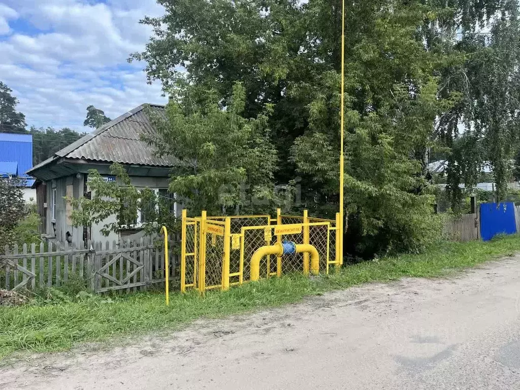 Дом в Алтайский край, Павловский район, с. Павловск ул. Мелиораторов, ... - Фото 0