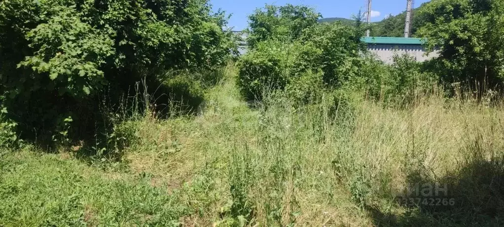 Участок в Краснодарский край, Геленджик городской округ, с. ... - Фото 1