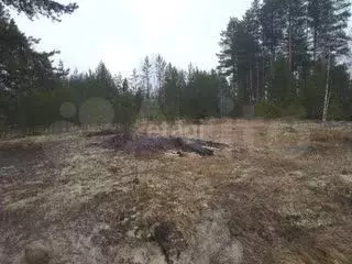 Участок 10 сот. (СНТ, ДНП) - Фото 0