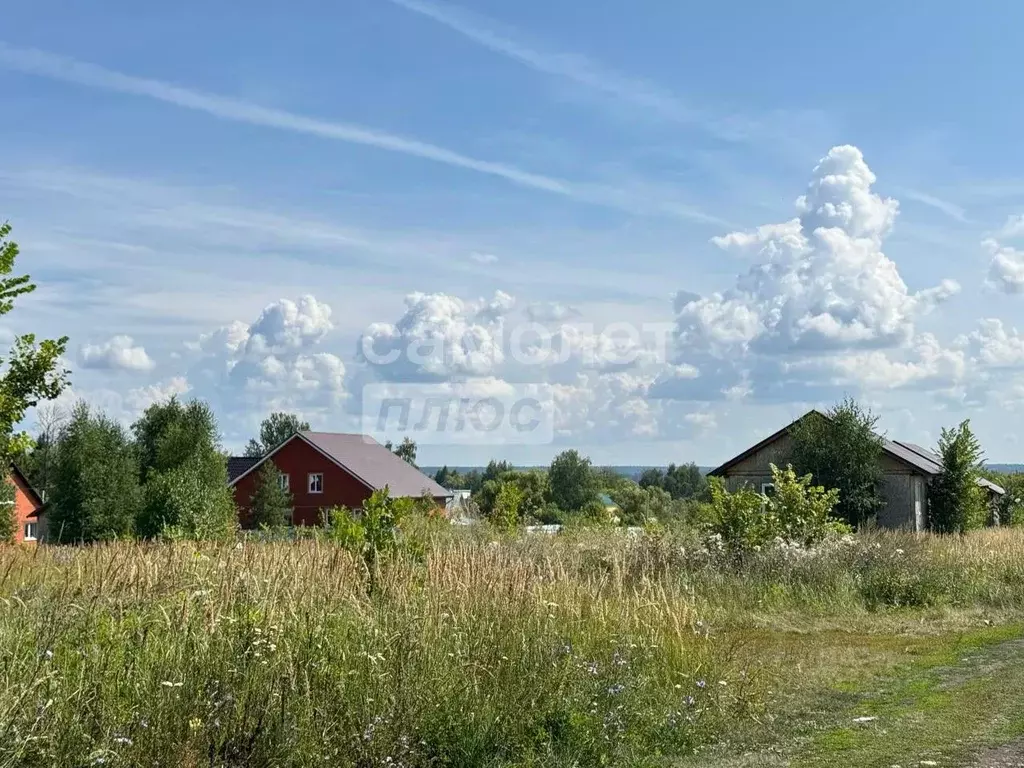 Участок в Пензенская область, с. Бессоновка ул. Российская, 20 (10.0 ... - Фото 0