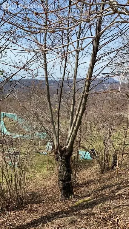 Участок в Краснодарский край, городской округ Сочи, село ... - Фото 2