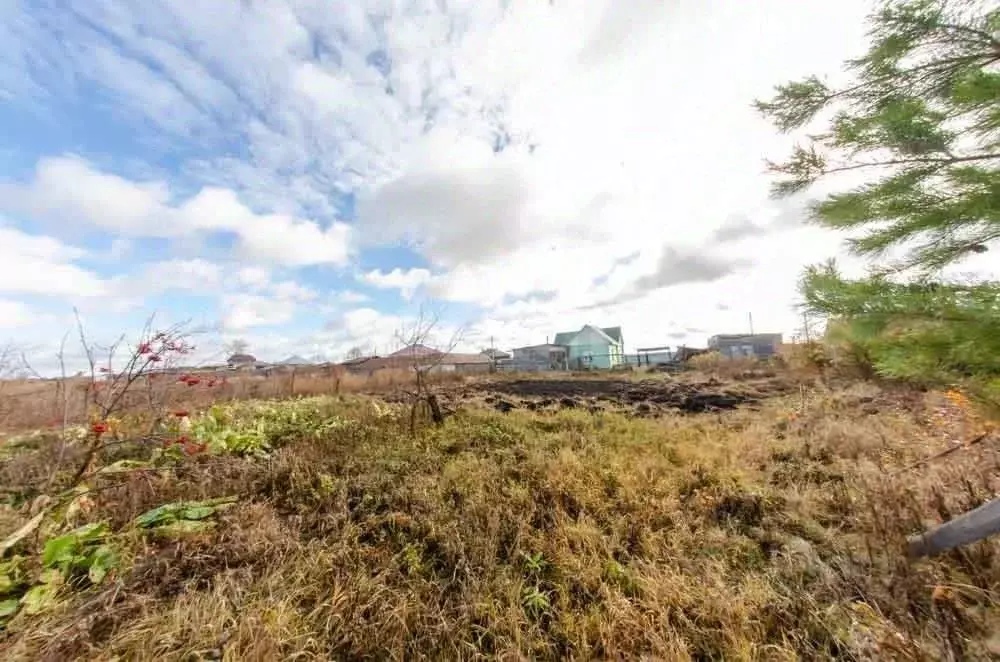 Участок в Курганская область, Шадринский муниципальный округ, с. ... - Фото 2