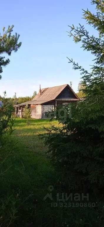 Дом в Новгородская область, Холмский муниципальный округ, д. Чекуново  ... - Фото 1