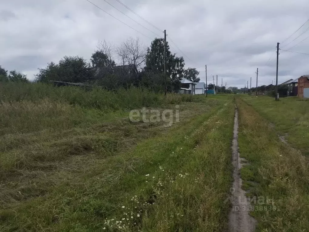 Участок в Курганская область, Шадринский муниципальный округ, д. ... - Фото 1