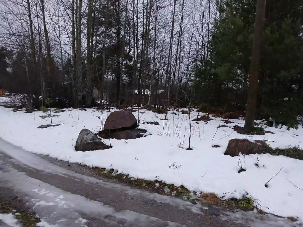 Участок в Ленинградская область, Приозерск ул. Матросова (8.0 сот.) - Фото 1