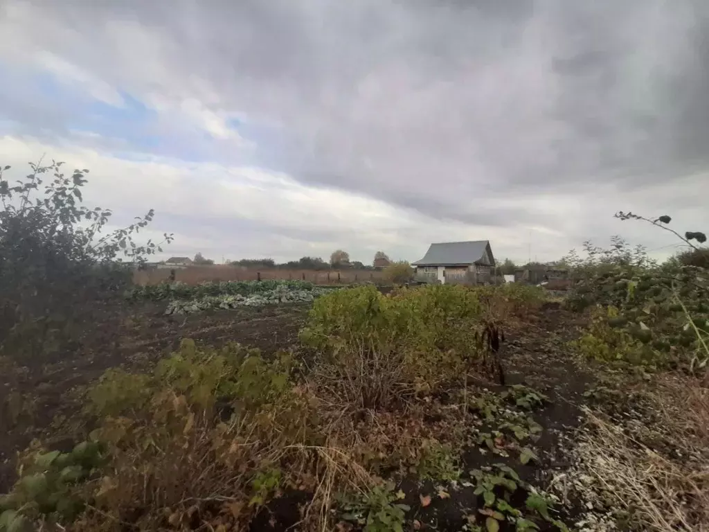 Дом в Челябинская область, Красноармейский муниципальный округ, д. ... - Фото 2