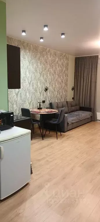 1-к кв. Новосибирская область, Новосибирск ул. Фрунзе, 220 (32.3 м) - Фото 1