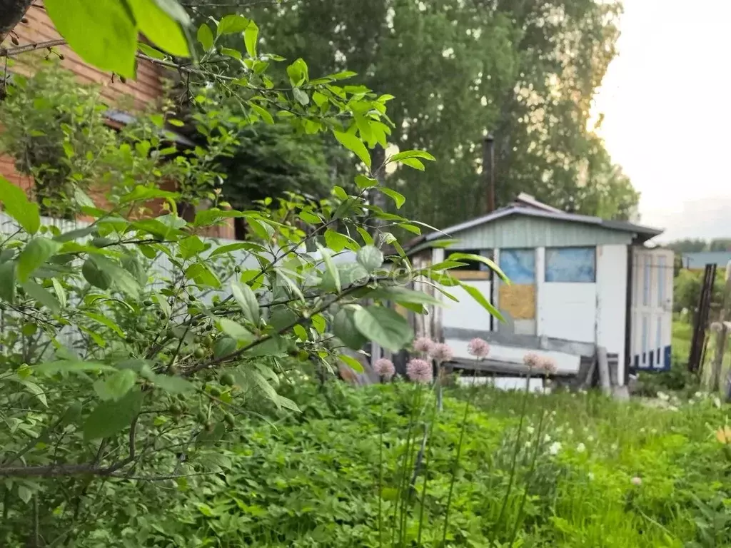 Участок в Новосибирская область, Новосибирский район, Барышевский ... - Фото 2