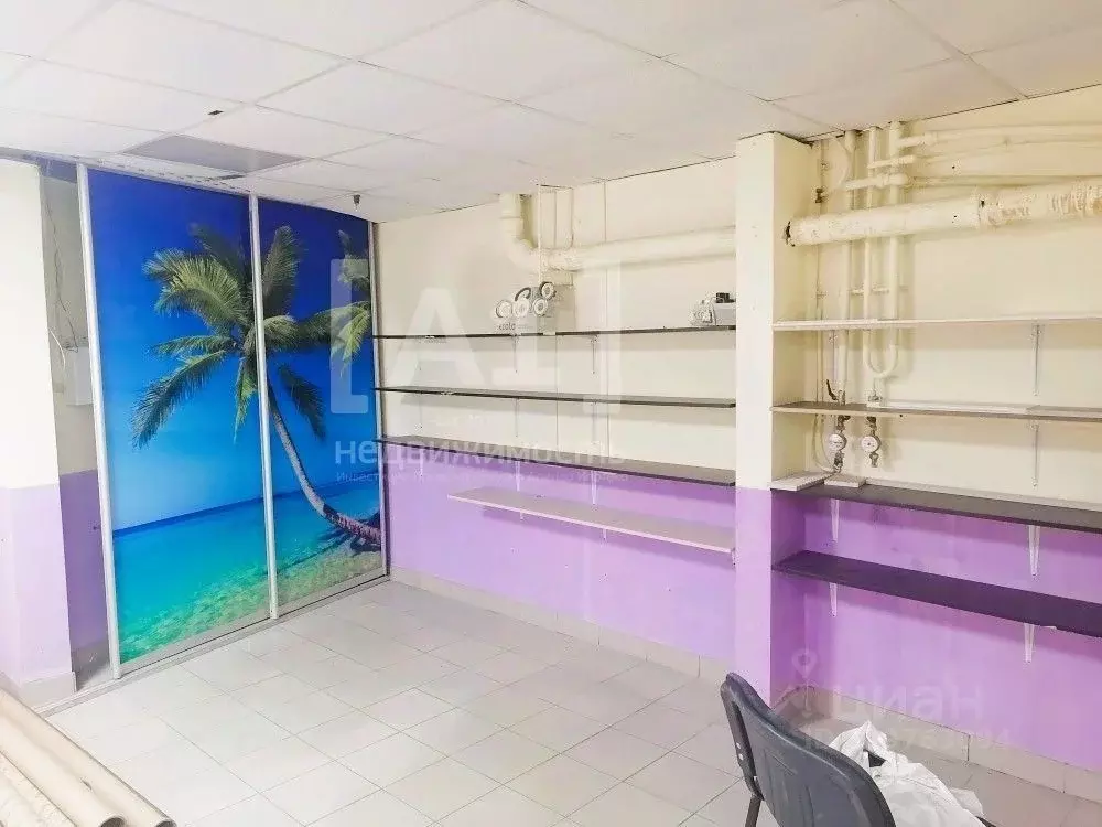 Помещение свободного назначения в Челябинская область, Челябинск ... - Фото 2