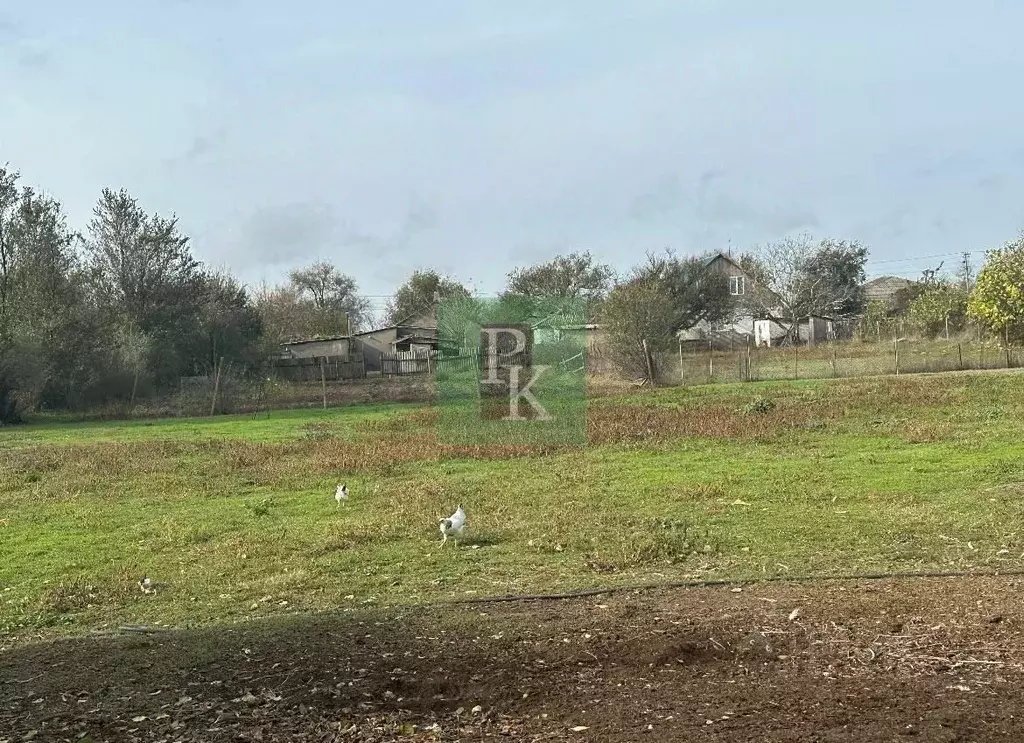 Участок в Крым, Ленинский район, с. Новониколаевка ул. Октябрьская, 43 ... - Фото 0