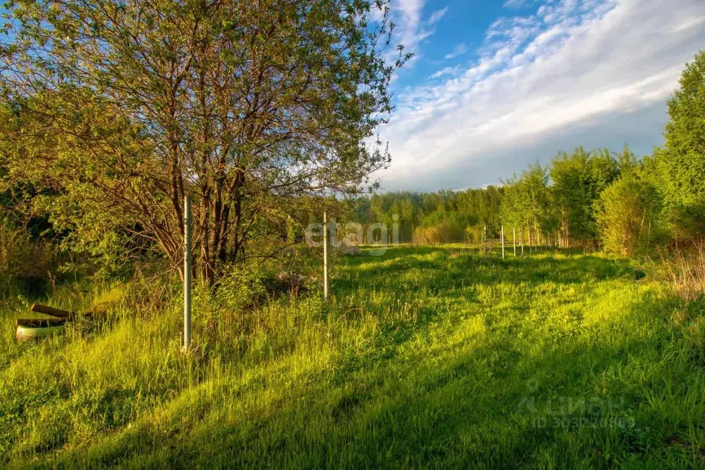 Участок в Тюменская область, Нижнетавдинский район, Геолог-2 СНТ  ... - Фото 1