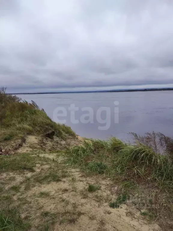 Участок в Амурская область, Благовещенский район, с. Усть-Ивановка  ... - Фото 1