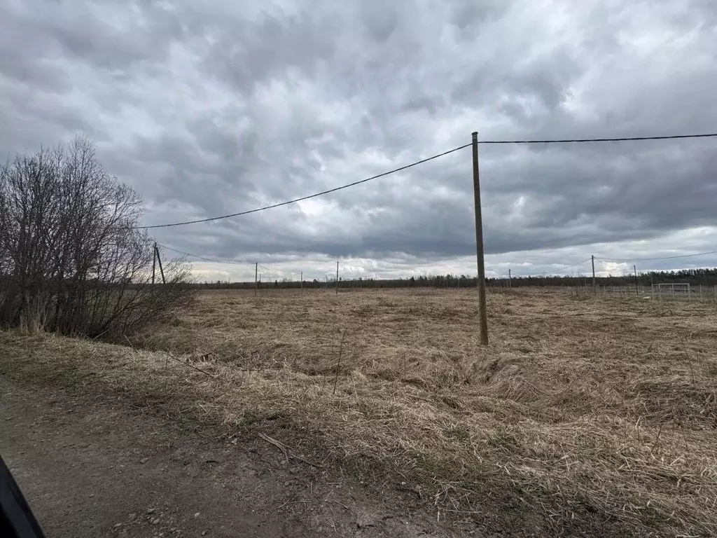 Участок в Ленинградская область, Тосненское городское поселение, Новое ... - Фото 2
