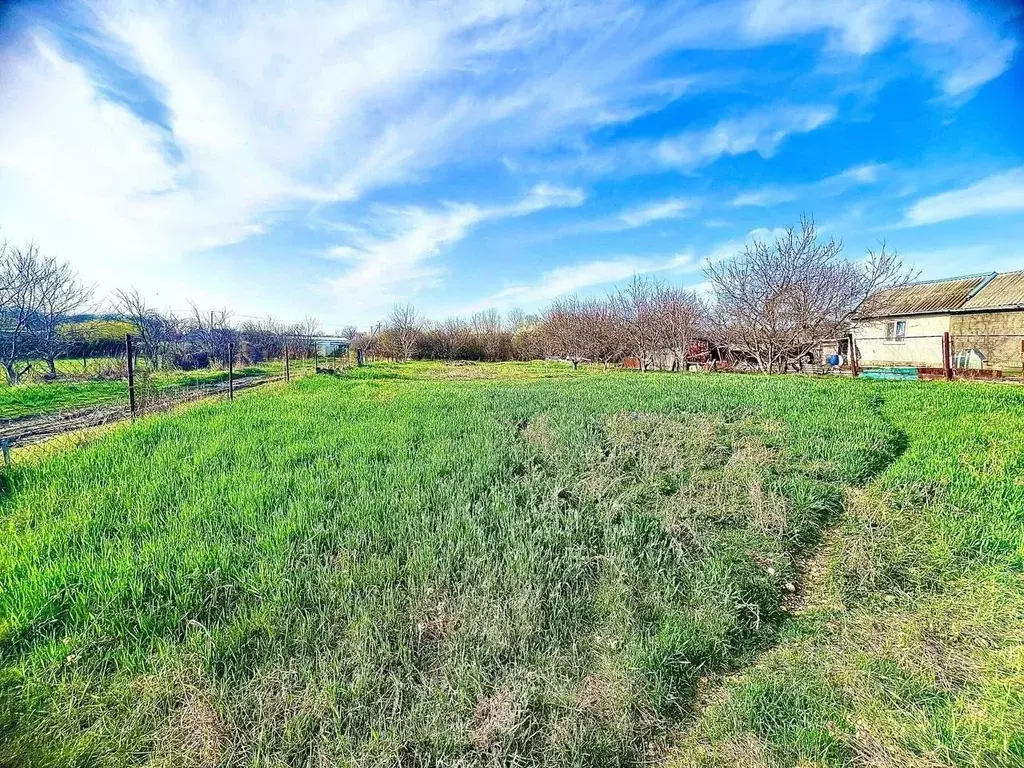 Участок в Краснодарский край, Новокубанский район, пос. Прикубанский ... - Фото 1