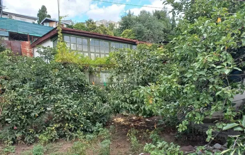 Участок в Крым, Ялта ул. Григорьева (6.3 сот.) - Фото 1