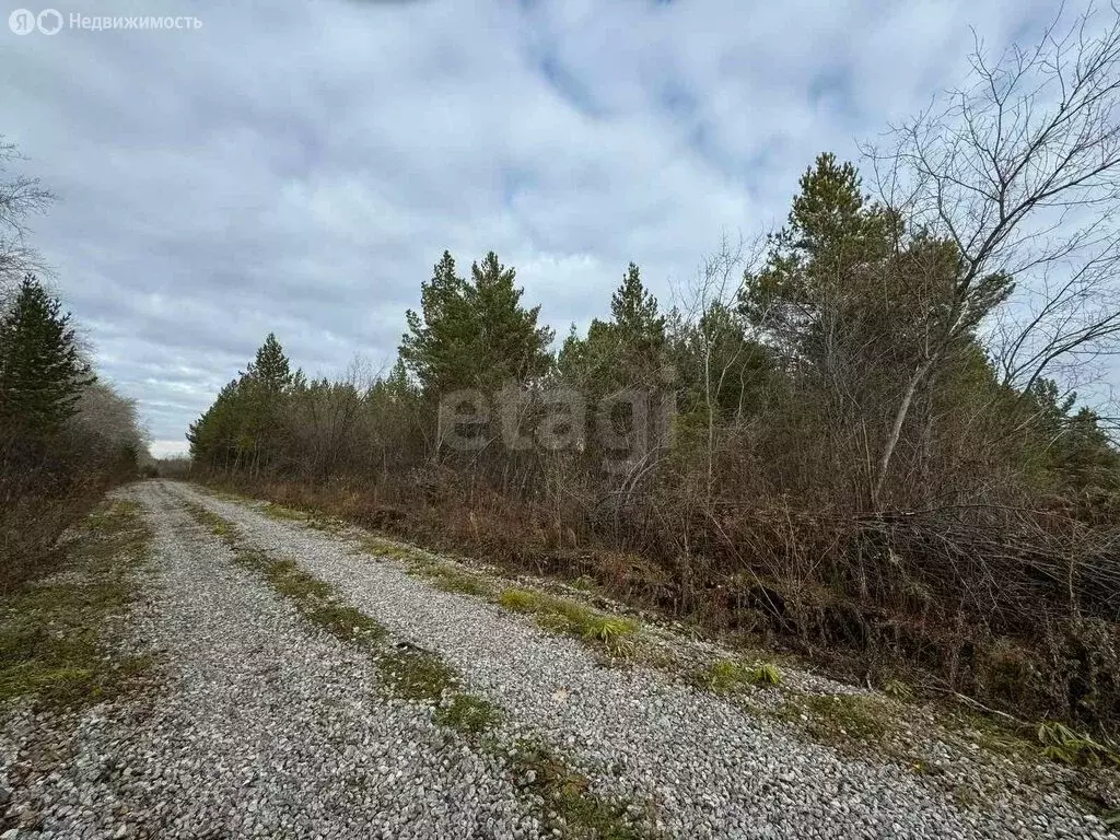 Участок в Свердловская область, Талица (10 м) - Фото 1