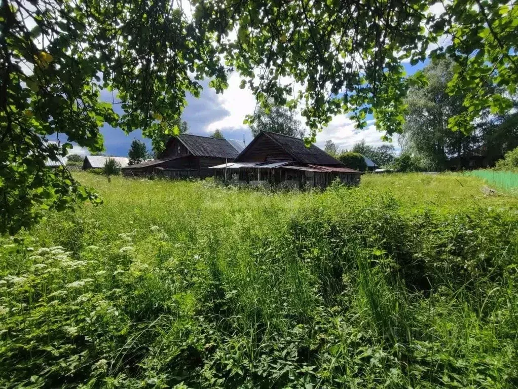 Участок в Вологодская область, Кирилловский муниципальный округ, д. ... - Фото 2