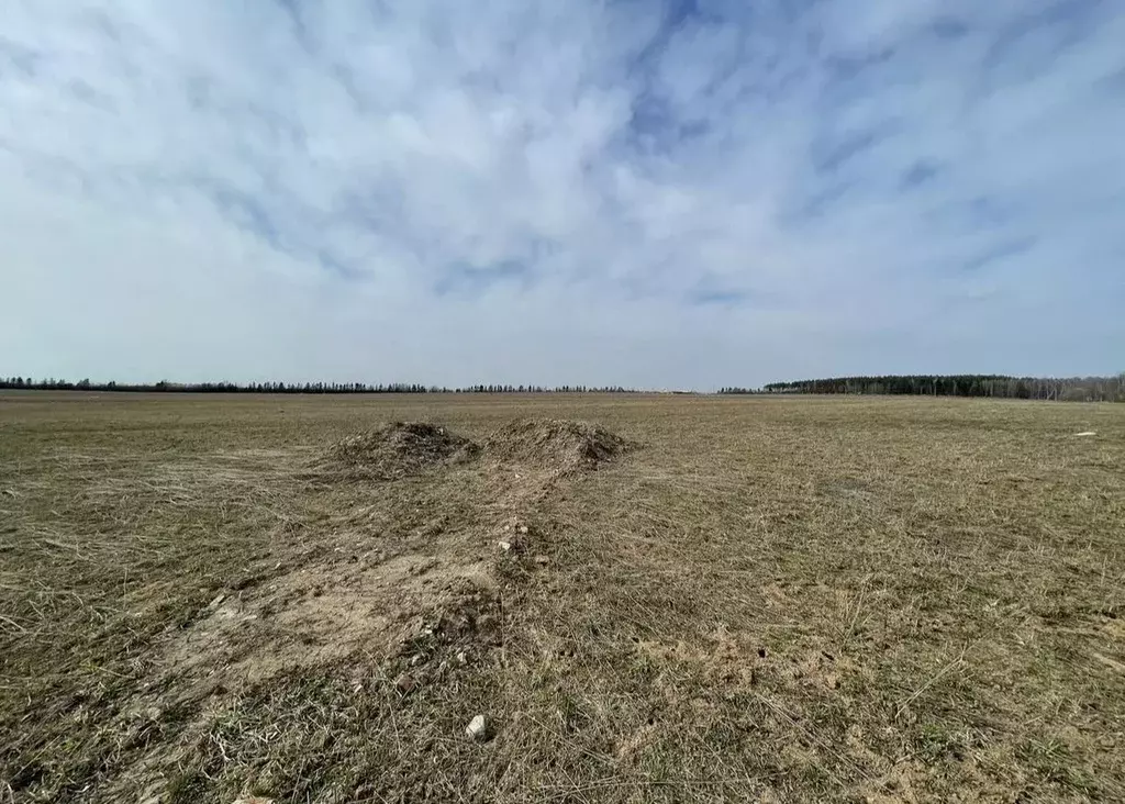 Участок в Московская область, Подольск городской округ, с. Сынково ул. ... - Фото 2