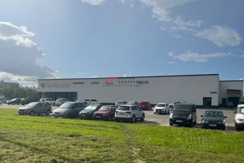 Торговая площадь в Московская область, Домодедово Белые Столбы мкр, ... - Фото 2