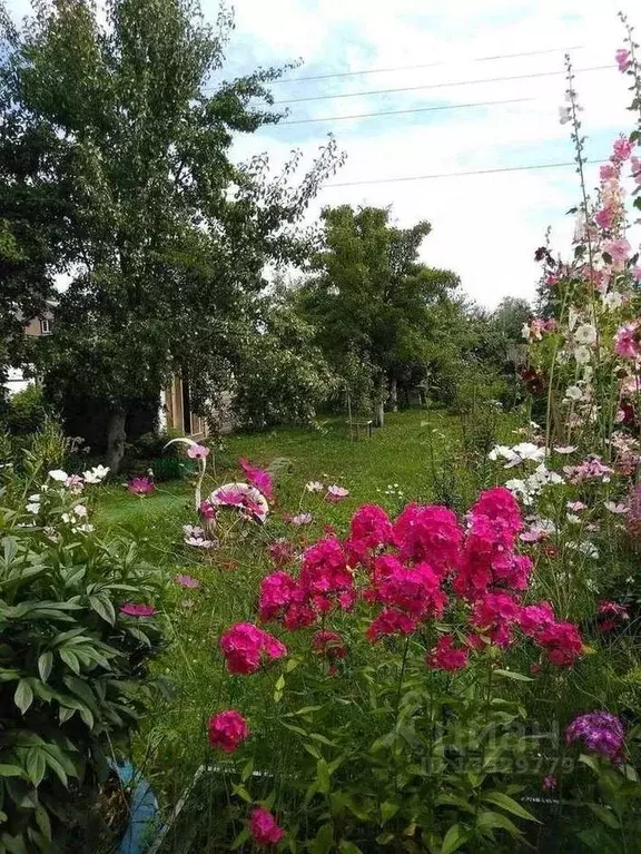 Дом в Новгородская область, Новгородский район, Трубичинское с/пос, д. ... - Фото 0