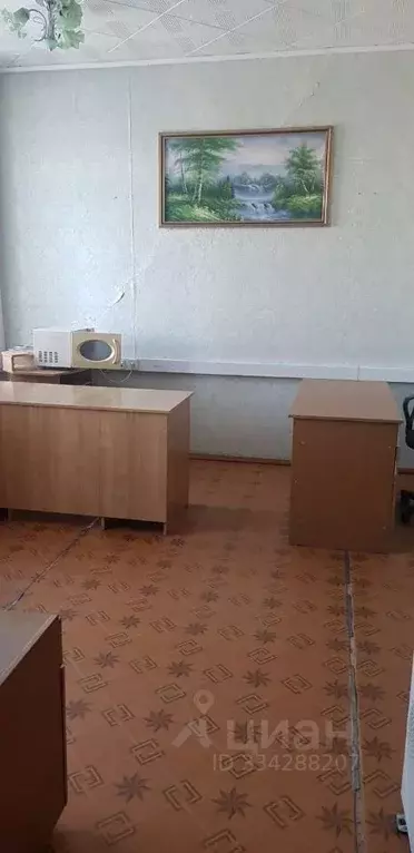 Помещение свободного назначения в Амурская область, Михайловский ... - Фото 2