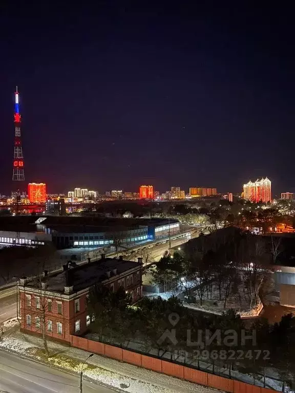 2-к кв. Амурская область, Благовещенск ул. Ленина, 213 (80.0 м) - Фото 1