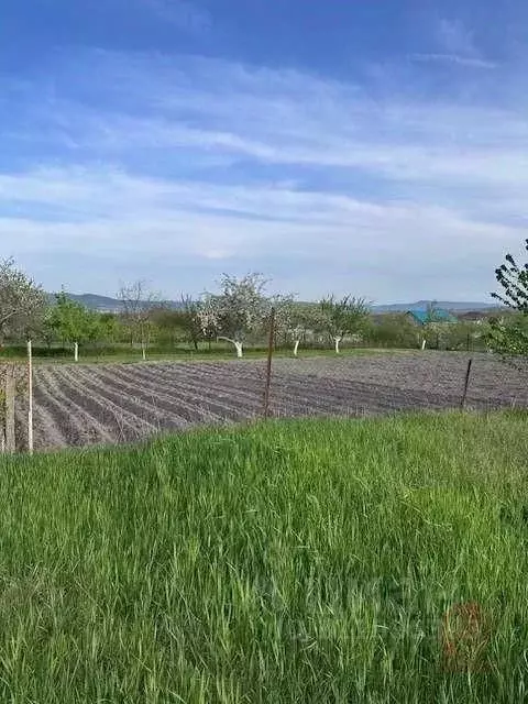 Участок в Краснодарский край, Новороссийск городской округ, ... - Фото 1