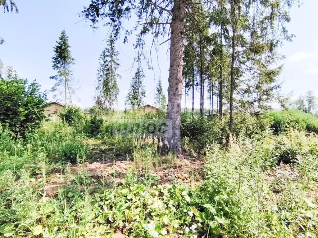 Участок в Московская область, Наро-Фоминский городской округ, д. ... - Фото 1