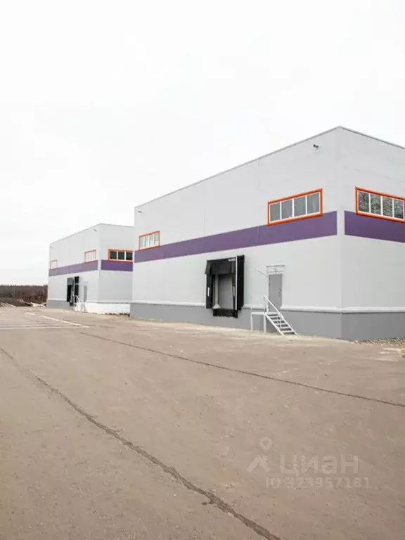 Помещение свободного назначения в Московская область, Раменский ... - Фото 1