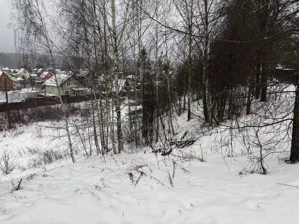 Участок в Московская область, Пушкинский городской округ, д. Лепешки  ... - Фото 1