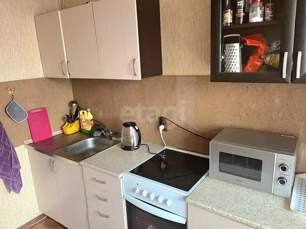 1-к кв. Амурская область, Благовещенский район, с. Чигири 1-я ... - Фото 2