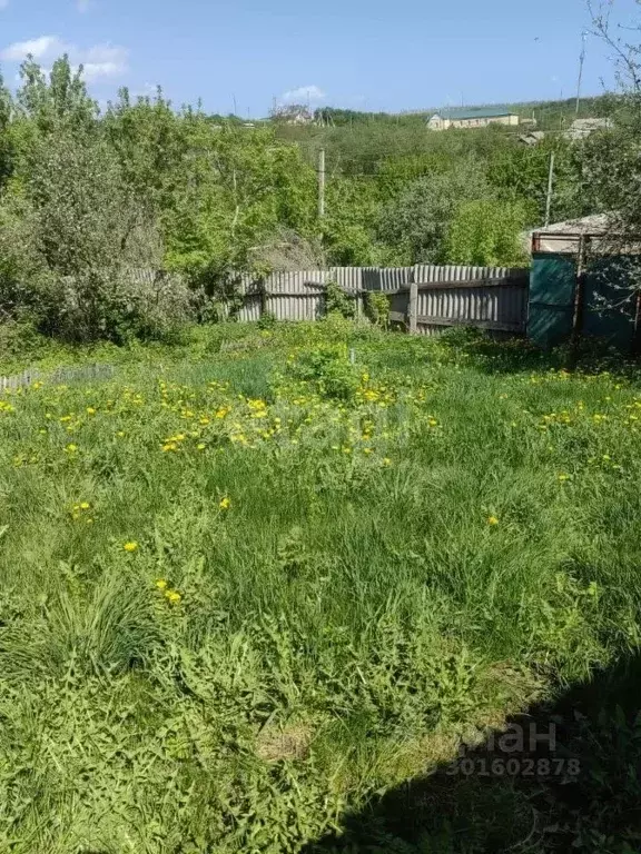 Дом в Белгородская область, Алексеевский городской округ, с. ... - Фото 0