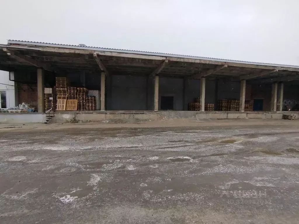 Склад в Самарская область, Кинель ул. Маяковского, 92 (300 м) - Фото 2