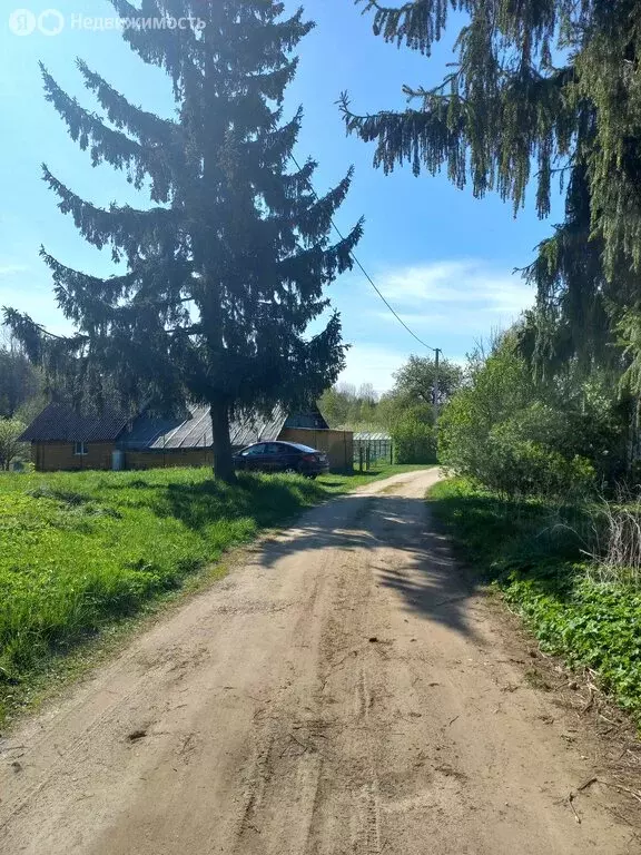 Участок в Псковский район, Тямшанская волость, деревня Алабышево (26 ... - Фото 0