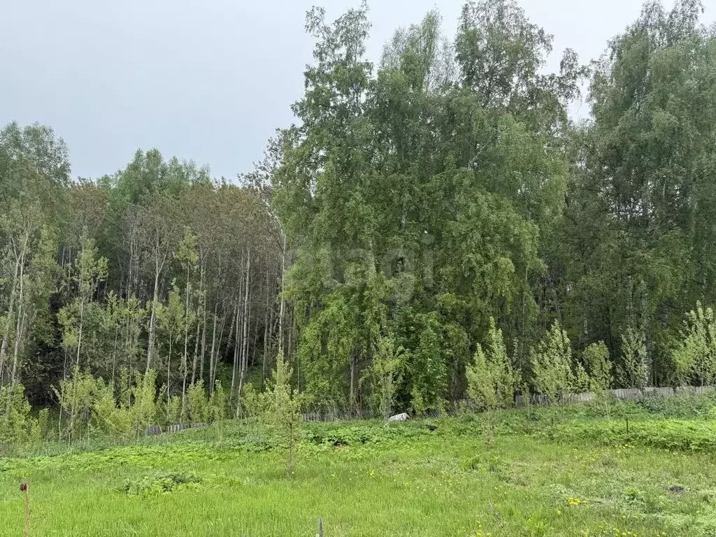 Дом в Кемеровская область, Кемеровский муниципальный округ, ... - Фото 1