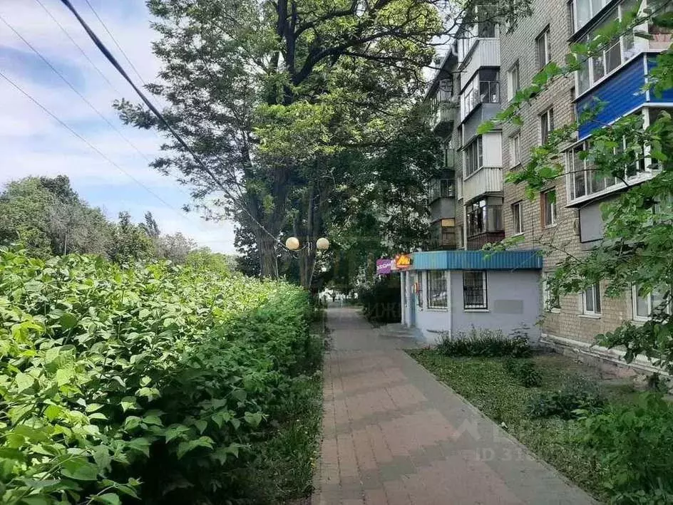 Торговая площадь в Белгородская область, Белгород Студенческая ул., 9 ... - Фото 1