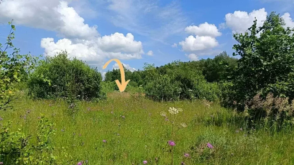 Участок в Московская область, Можайский муниципальный округ, Лесной кп ... - Фото 0