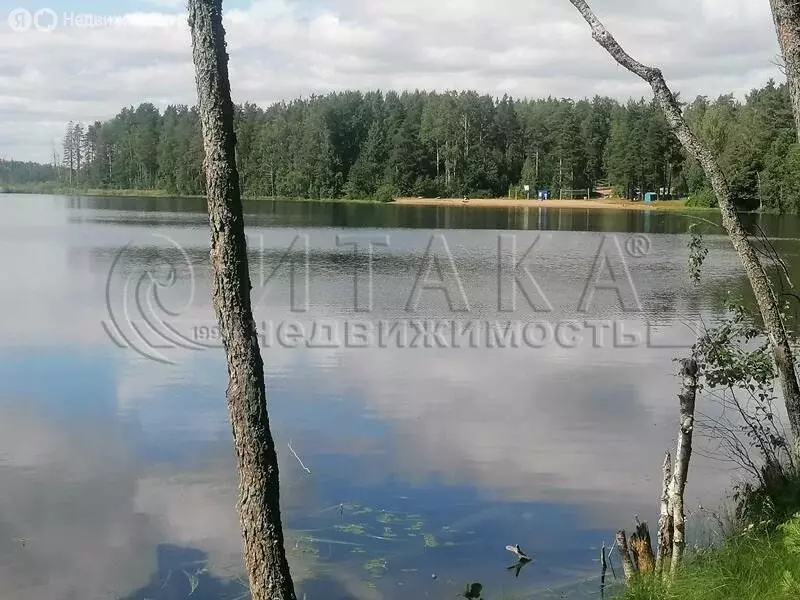 Участок в Приозерский район, Севастьяновское сельское поселение, ... - Фото 1