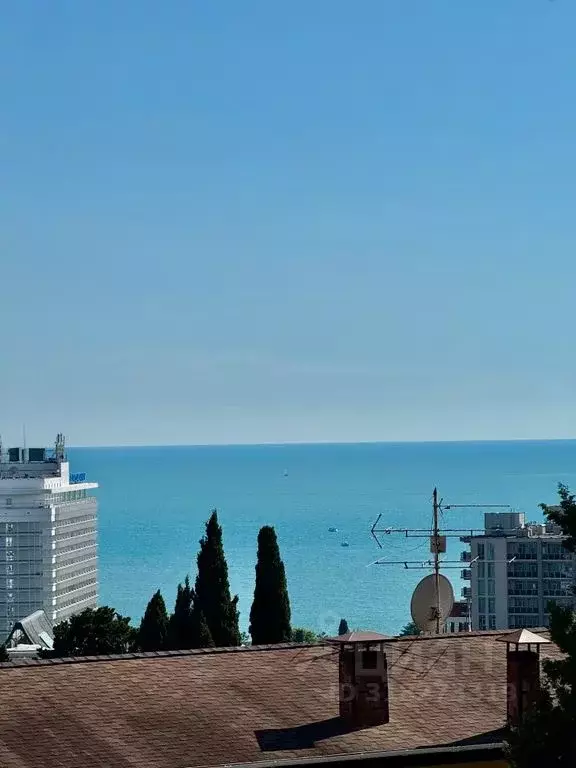 Студия Краснодарский край, Сочи Светлана мкр, ул. Депутатская, 10Б/1 ... - Фото 0