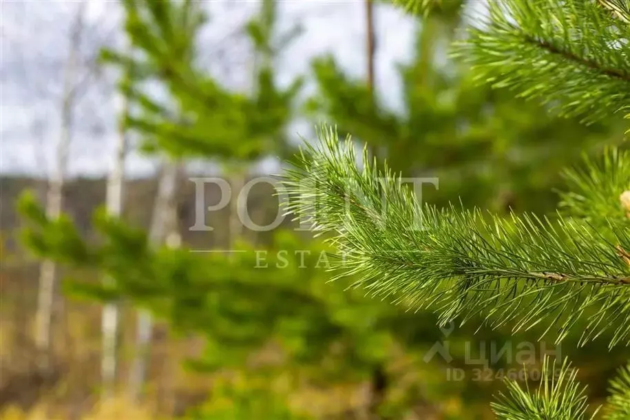 Участок в Московская область, Красногорск городской округ, с. ... - Фото 1