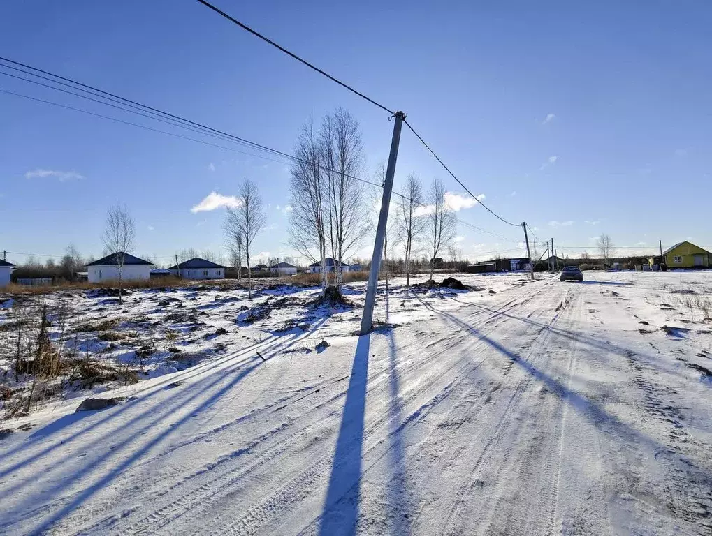 Участок в Тюменская область, Тюмень Ясень садовое товарищество, ул. ... - Фото 1