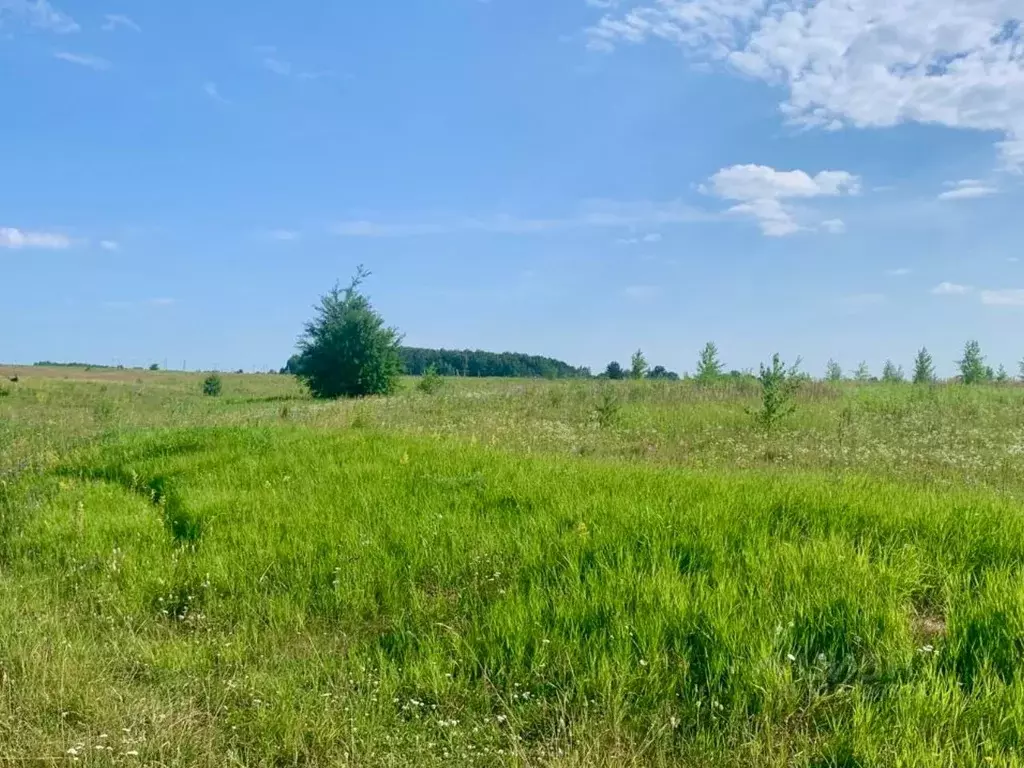 Участок в Тульская область, Ясногорский район, Иваньковское с/пос, д. ... - Фото 2