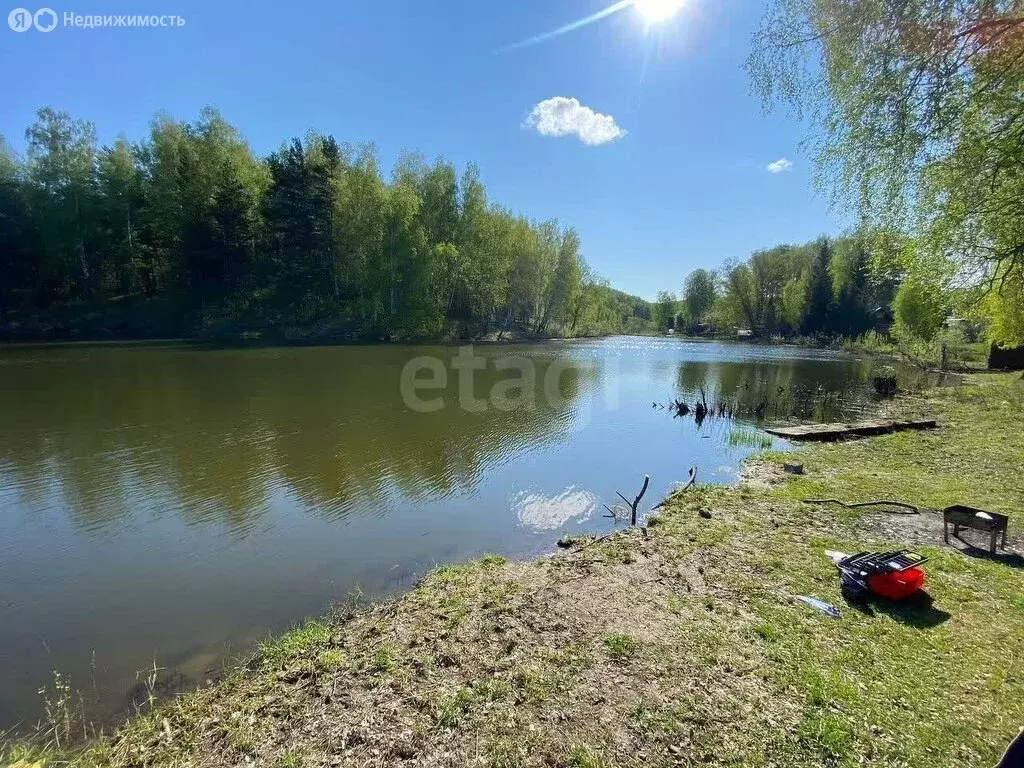 Участок в Барышевский сельсовет, садоводческое некоммерческое ... - Фото 0